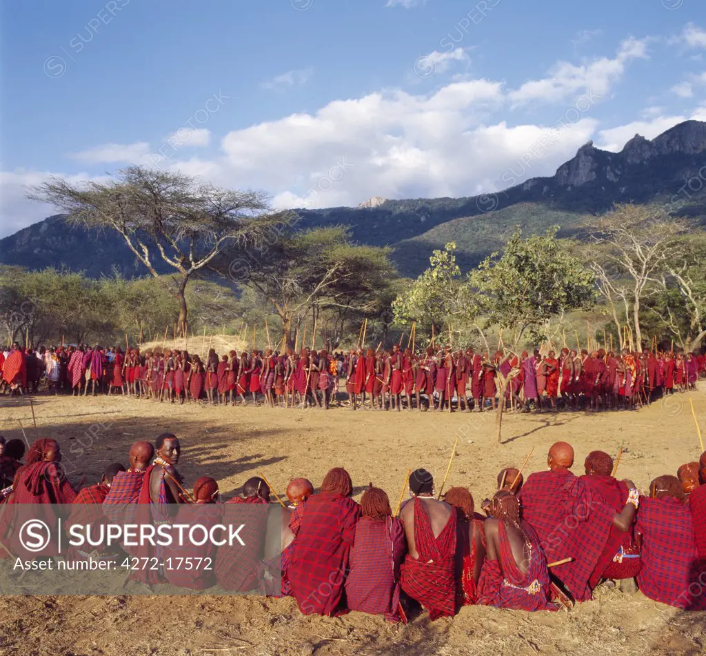 Africa, Kenya, Kajiado District, Ol doinyo Orok. In the late afternoon light, a large gathering of Maasai warriors wait in line to be blessed by the elders during an Eunoto ceremony when the warriors become junior elders and henceforth are permitted to marry.