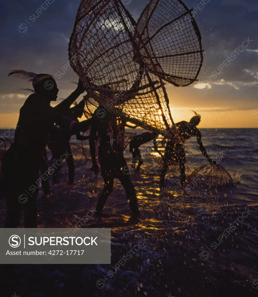 Kenya, Lake Turkana, Eliye Sprinjgs. Turkana fishermen with traditional wicker baskets fish for tilapia in the shallow waters of Lake Turkana.