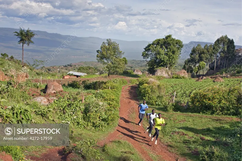 Kenya, Tambach District. Kenyas long distance runners, based at a high altitude training camp at Iten, train in the hilly country near the Elgeyo Escarpment.