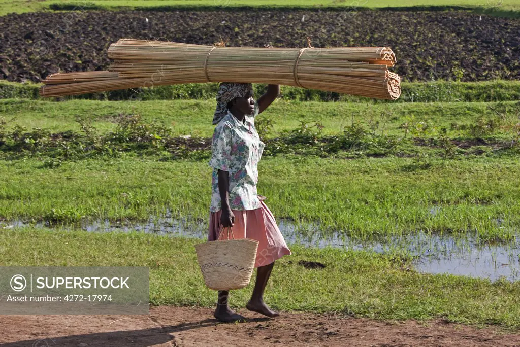 Kenya, Kisumu District. A woman walks home from market with a papyrus mat on her head.