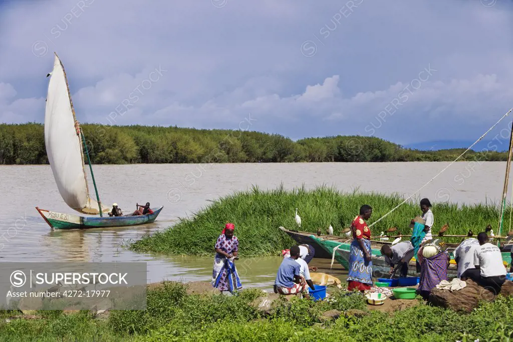 Kenya, Nyanza District. Fishermen return in their sailing boat from fishing in Lake Victoria while women prepare to sell the catch already landed.