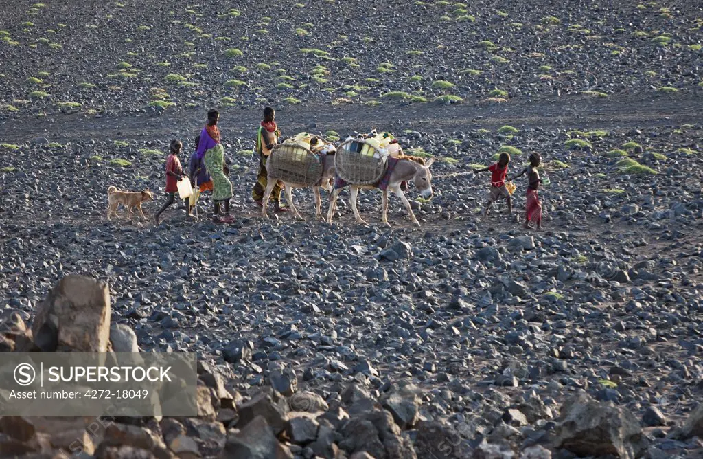 El Molo women and children set off early in the morning with their donkeys to fetch water from a spring several hours journey away.