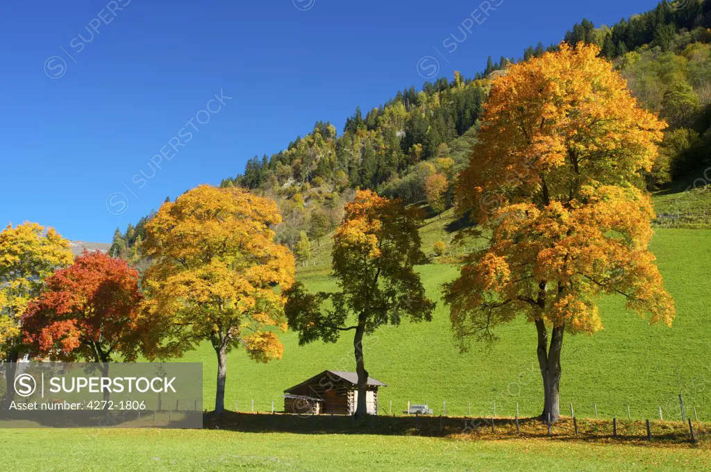Near Dorfgastein, Gasteiner Valley, Pongau, Salzburger Land, Austria