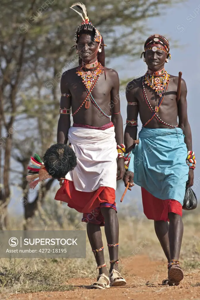 Two Samburu warrior of Northern Kenya in all their finery. The ostrich pompom on the spear was formerly a sign of peace.