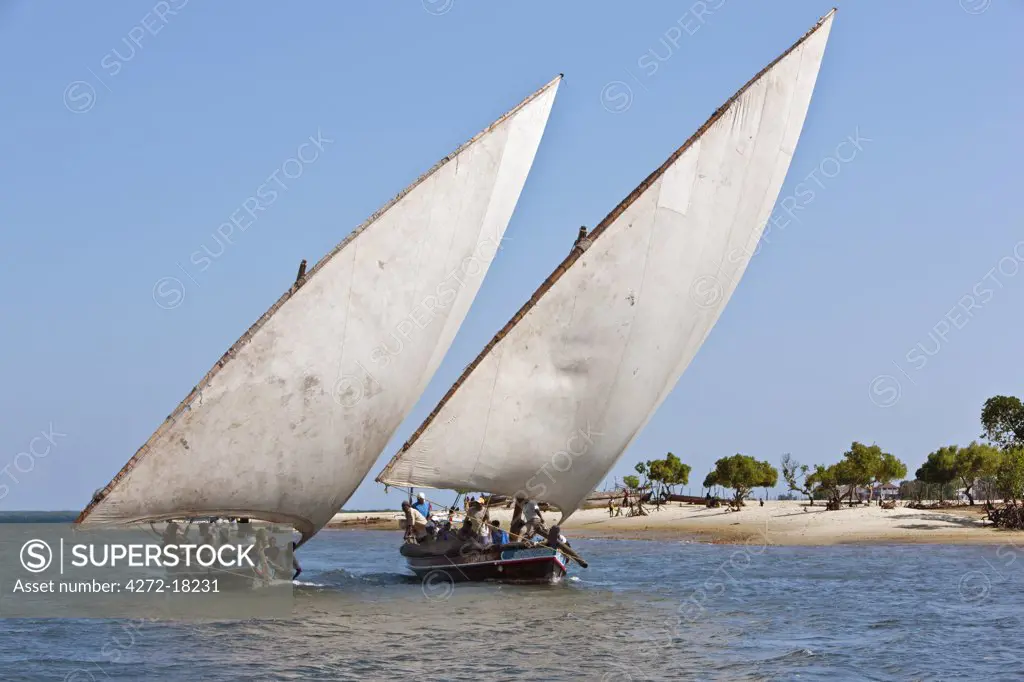 Kenya. Two Jahazi boats sailing off Lamu Island. The main way to transport goods in the Lamu Archipelago.