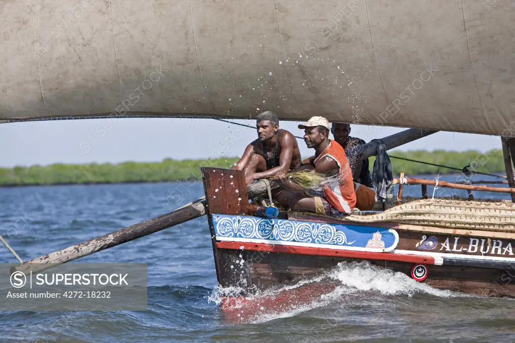Kenya. During a dhow race off Lamu Island, the crew beat the bows with branches, urging them to go faster.