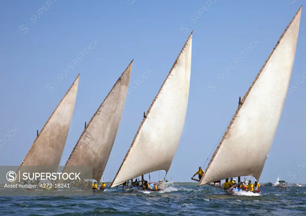 Kenya. Mashua sailing boats with outriggers participating in a race off Lamu Island.