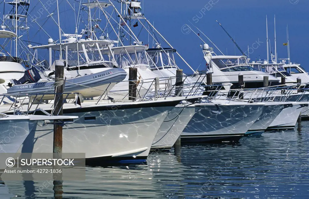 Game fishing launches moored in the marina of the Abaco beach Resort, Abaco, Bahamas