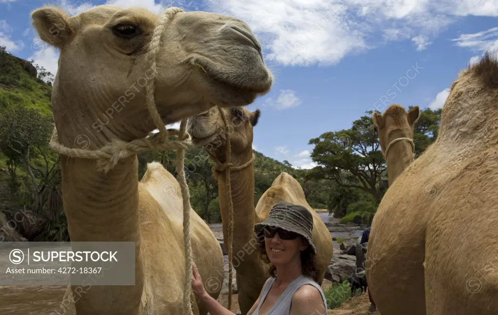Kenya, Laikipia, Ol Malo. A visitor on a camel safari at Ol Malo.  (MR)