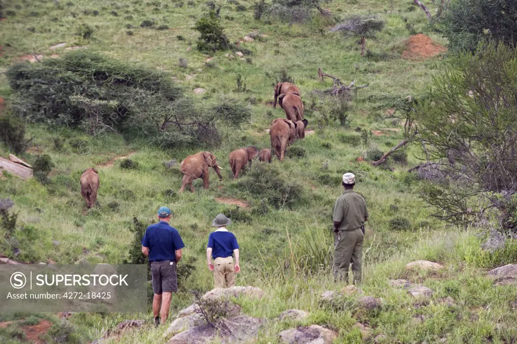 Kenya, Laikipia, Ol Malo. Guide, Colin Francome, talks about a herd of elephants to a visitor on safari at Ol Malo.