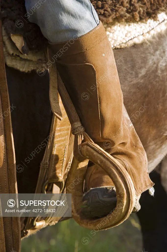 Kenya, Laikipia, Ol Malo.  Horse riding at Ol Malo.