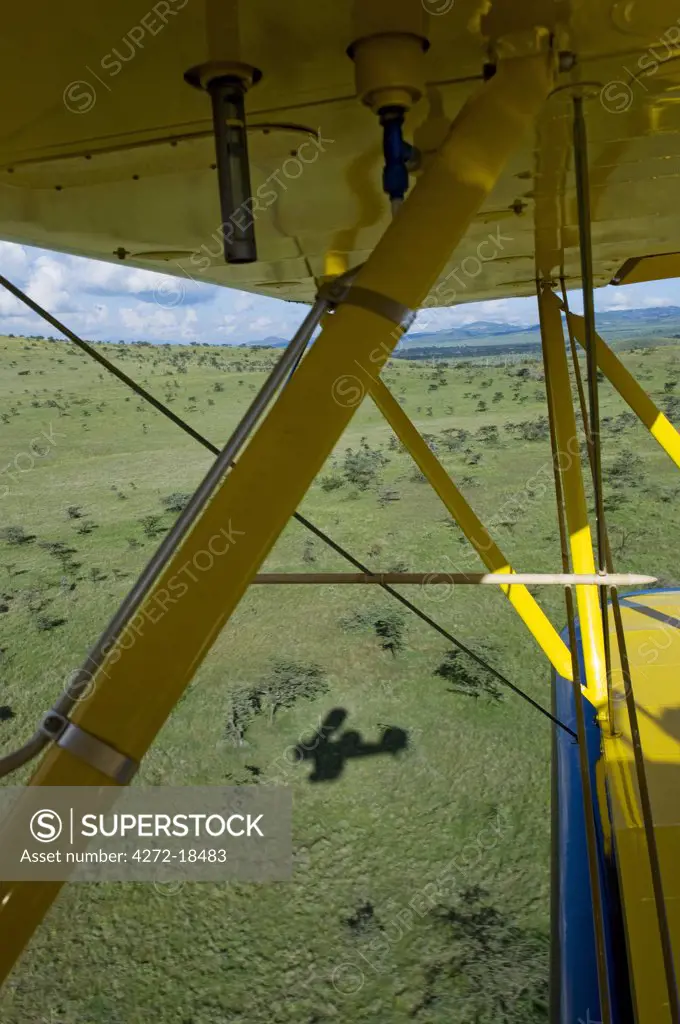 Kenya, Laikipia, Lewa Downs. Will Craig flies his 1930s style Waco Classic open cockpit bi-plane as the ultimate aerial safari.