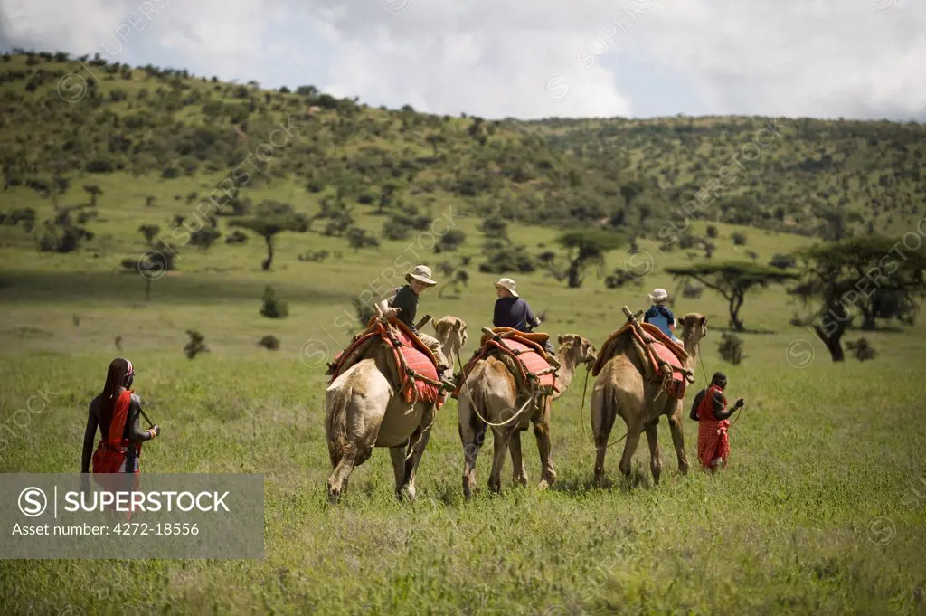 Kenya, Laikipia, Lewa Downs.  Children on a family safari, ride camels at Lewa Downs.