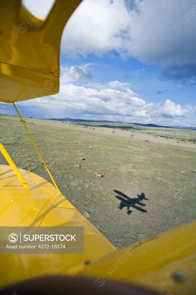 Kenya, Laikipia, Lewa Downs. Will Craig flies his 1930s style Waco Classic open cockpit bi-plane for ultimate aerial safaris.