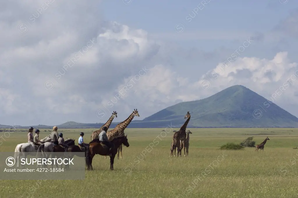 Kenya, Chyulu Hills, Ol Donyo Wuas.  A family on a riding safari, ride close to Maasai giraffe out on the plains.