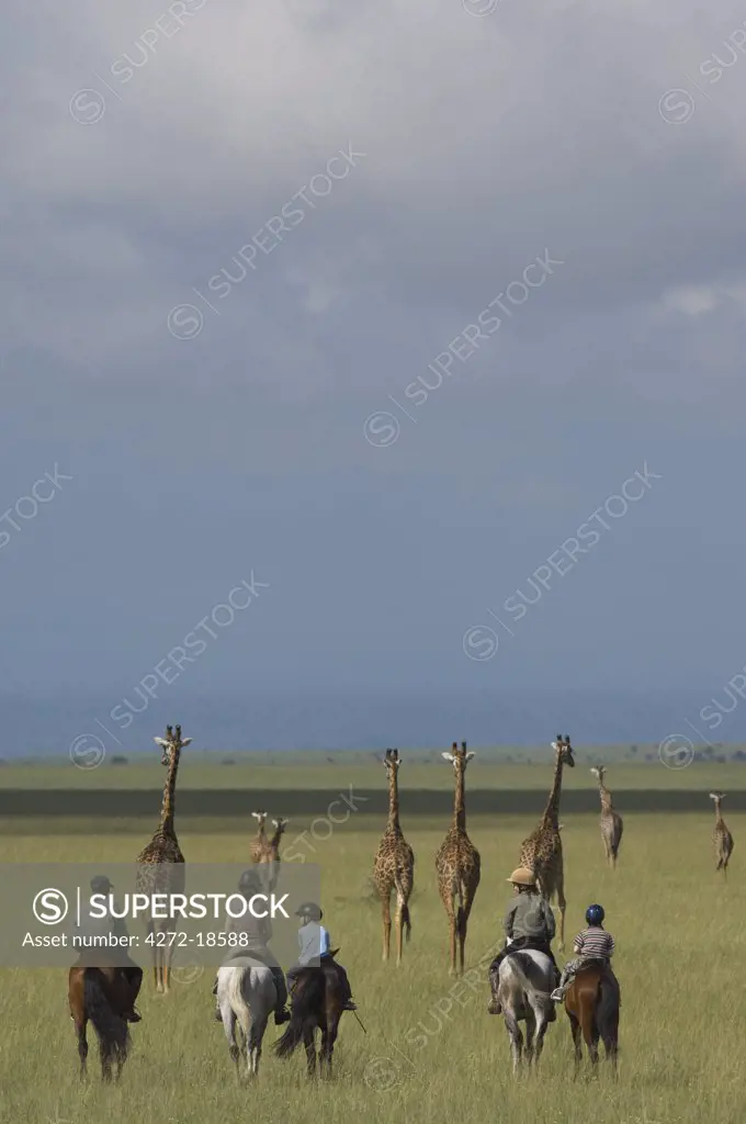 Kenya, Chyulu Hills, Ol Donyo Wuas.A family on a riding safari, ride close to Maasai giraffe out on the plains.
