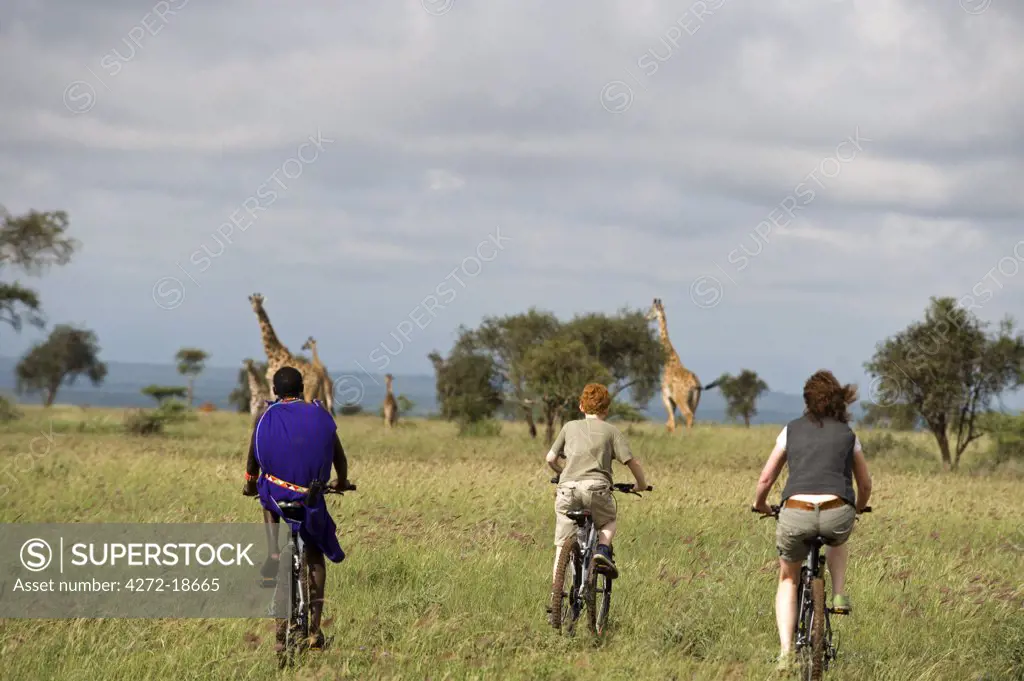 Kenya, Chyulu Hills, Ol Donyo Wuas. A Maasai guide and family on a mountain biking safari towards Maasai giraffe (MR)