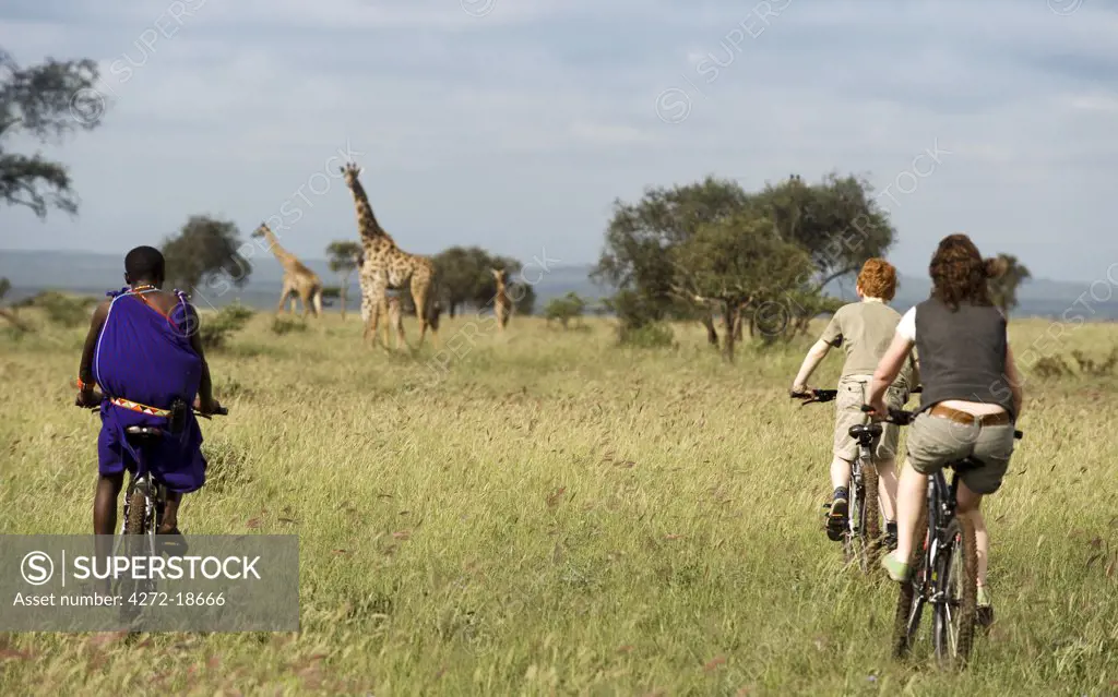 Kenya, Chyulu Hills, Ol Donyo Wuas. A Maasai guide and family on a mountain biking safari towards Maasai giraffe (MR)