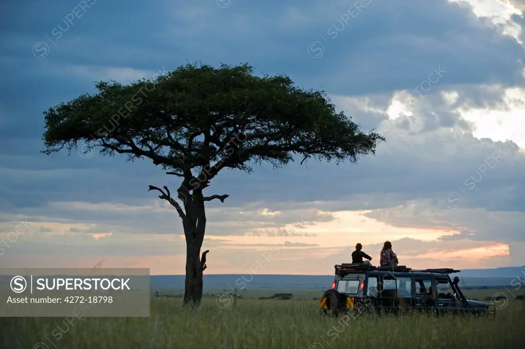 Kenya, Masai Mara.  A pause for a sundowner beneath a balanites tree during a game drive on a family safari. (MR)