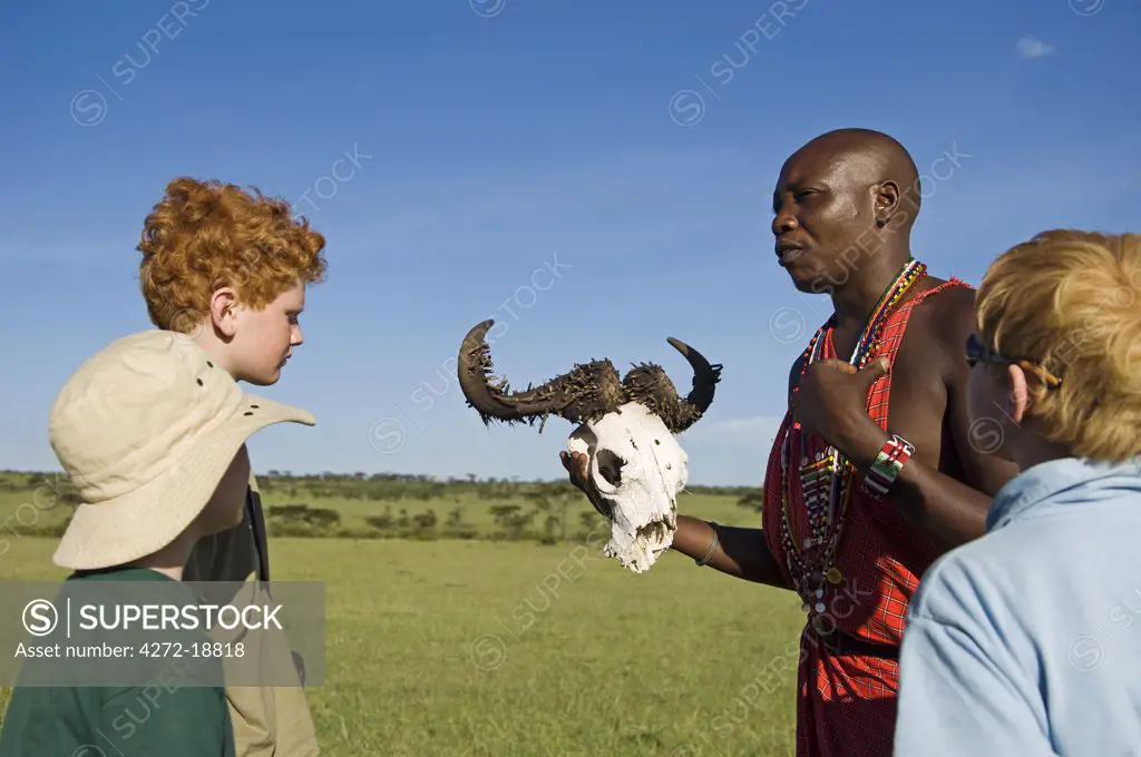 Kenya, Masai Mara.  Safari guide, Salaash Ole Morompi, shows wildebeest skull to young boys on a family safari. (MR)