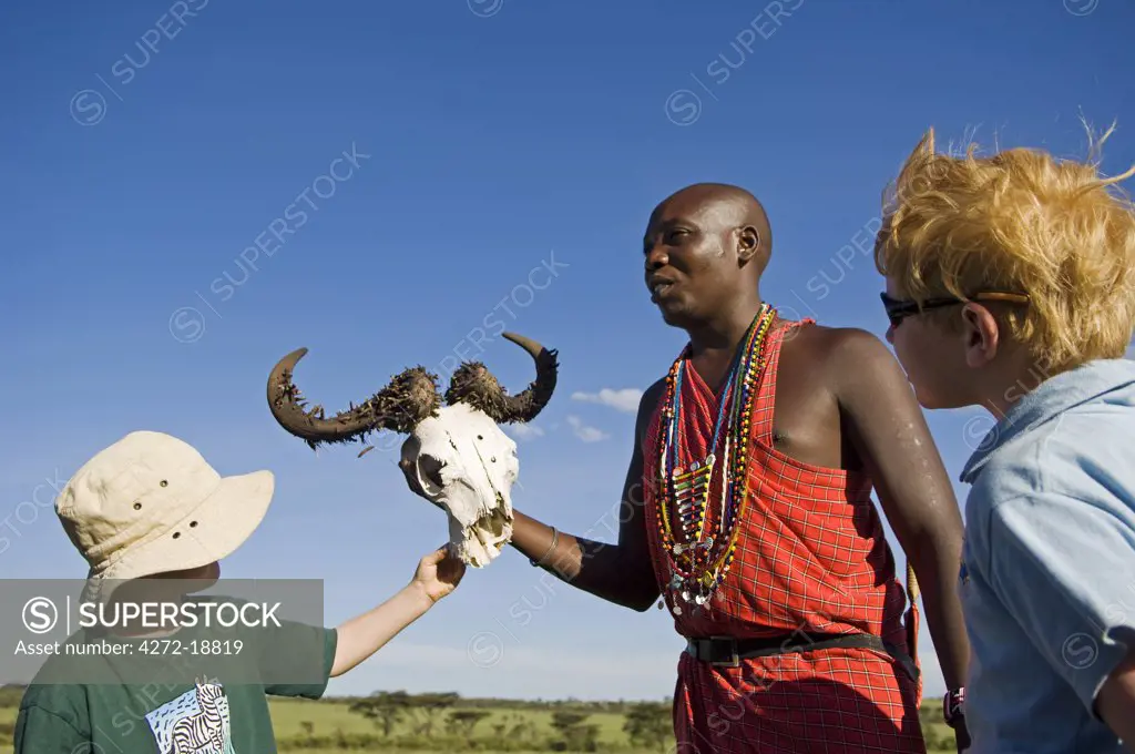Kenya, Masai Mara.  Safari guide, Salaash Ole Morompi, shows a wildebeest skull  to young boys on a family safari. (MR)