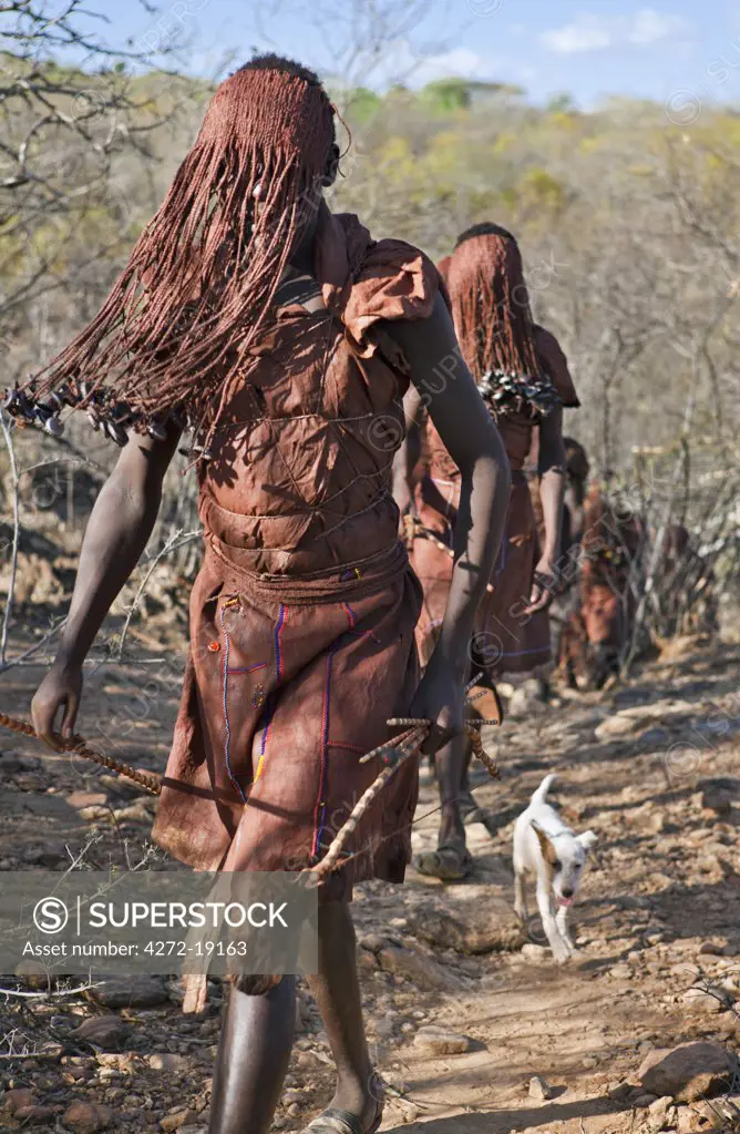 After 2-3 months seclusion, Pokot initiates leave their camp in single file to celebrate Ngetunogh.  They must wear goatskins, conceal their faces with masks made from wild sisal (sansevieria) and carry bows with blunt arrows until this ceremony is over.
