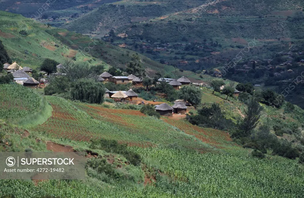 Traditional huts and terraced hillsides in the Maluti Mountains.