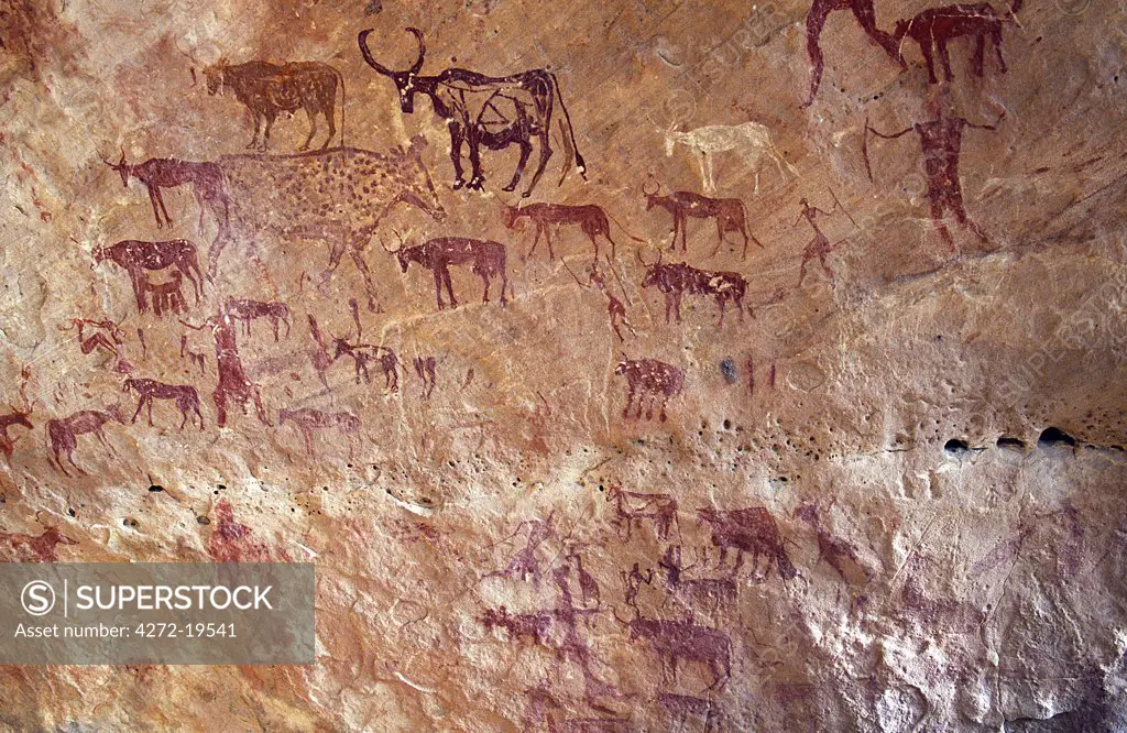Rock painting depicting domestic cattle in the Jebel Acacus in the Libyan Sahara, Libya