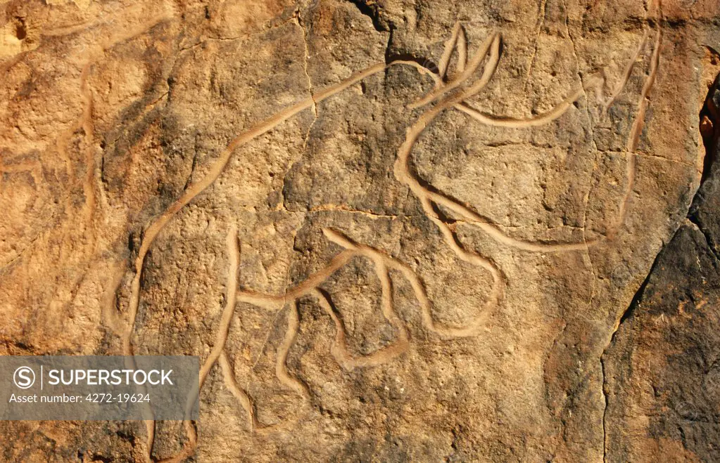 Libya, Fezzan, Messak Settafet. A petroglyph of a rhinoceros stands among the rocky outcrops of Wadi Mathendusch