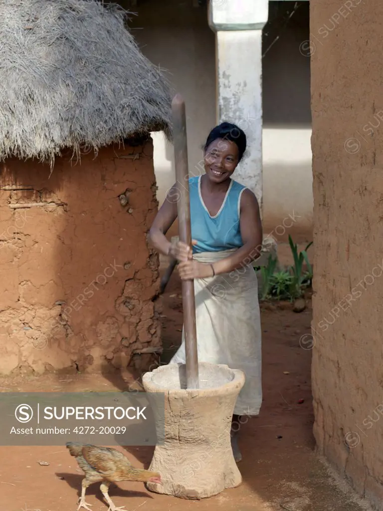 A Malagasy woman grinds corn using a wooden pestle and mortar at an attractive Malagasy village of the Betsileo people who live southwest of the capital, Antananarivo.  Madagascar.