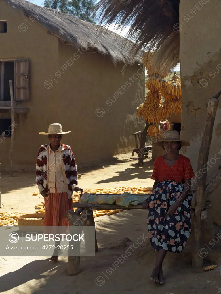 Two women with maize cobs hanging to dry from posts and on mats in a typical Betsileo village, Madagascar.