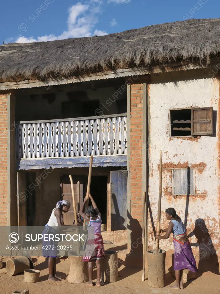 Malagasy woman pound corn in traditional wooden pestles and mortars outside a typical Betsileo double-storied house of the southern highlands of Madagascar.