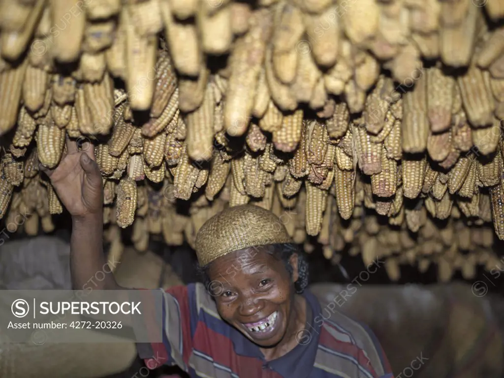 A Zafimaniry woman removes a dried maize cob hanging from the ceiling of her house.  Due to the frequency of rain and low mist, the Zafimanry keep their maize harvest in their houses to dry.
