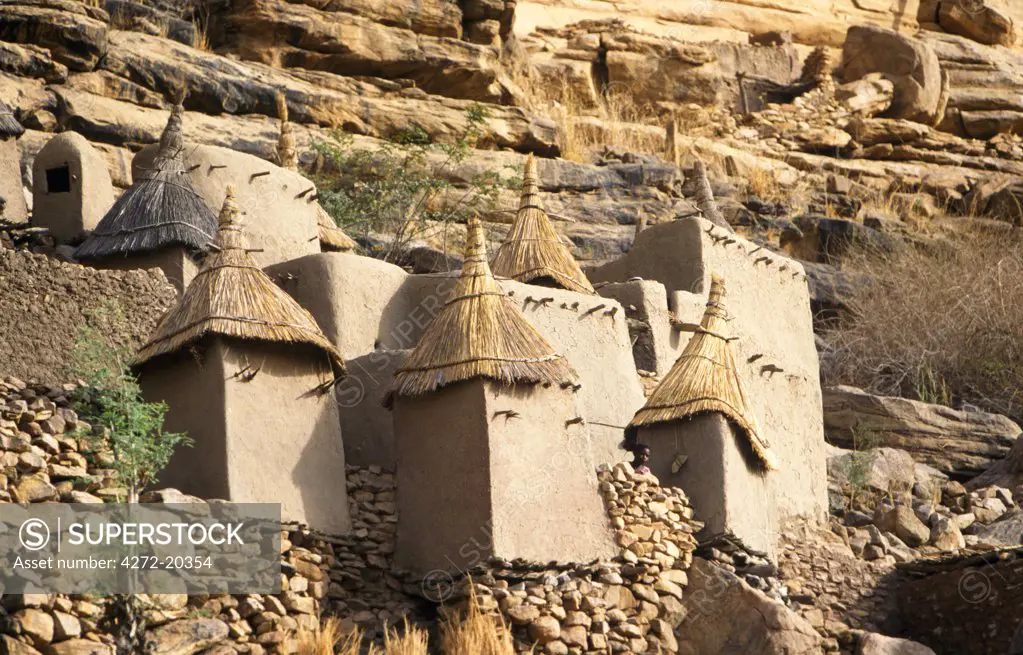 Granary structure and house in Dogon Village at the base of the Bandiagara plateau ,designated a UNESCO World Heritage Site in 1989