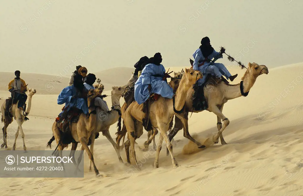 The Festival in the Desert 2005. Touregs arriving by camel to the festival