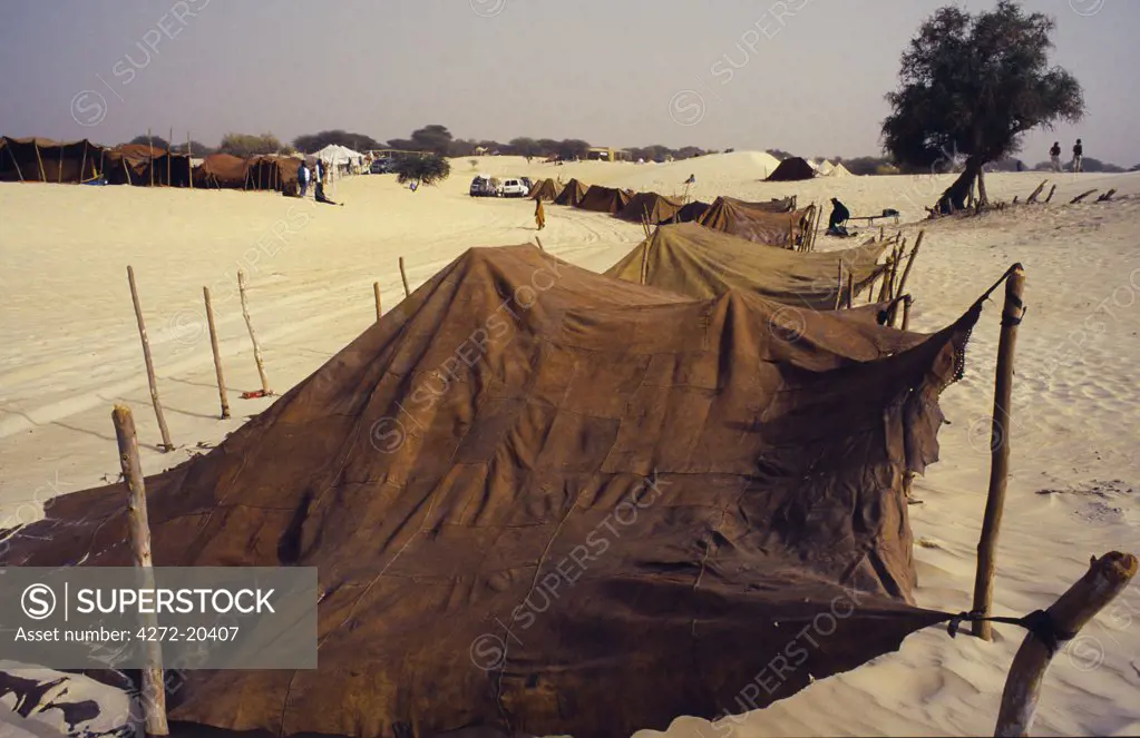 The Festival in the Desert 2005.  Most Tuareg camp beneath camel hide or goatskin tents