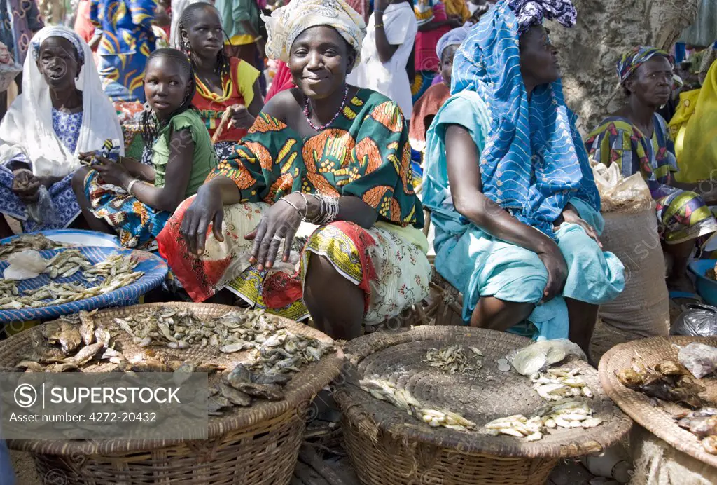 Mali, Bamako, Tinan. Women selling cooked or dried fish at a busy weekly market at the small rural centre of Tinan situated between Bamako and Segou. The fish are caught in the Niger River which forms a vast inland delta during the rainy season.
