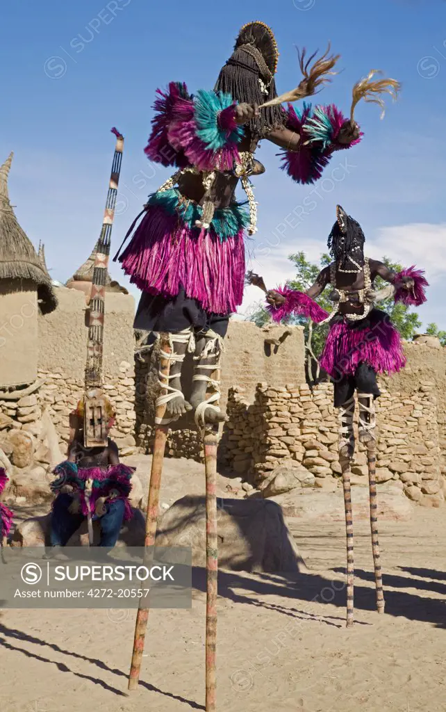 Mali, Dogon Country, Tereli.  Masked stilt dancers wearing coconut shells as breasts perform at the Dogon village of Tereli. Tereli is situated among rocks at the base of the spectacular 120-mile-long Bandiagara escarpment.
