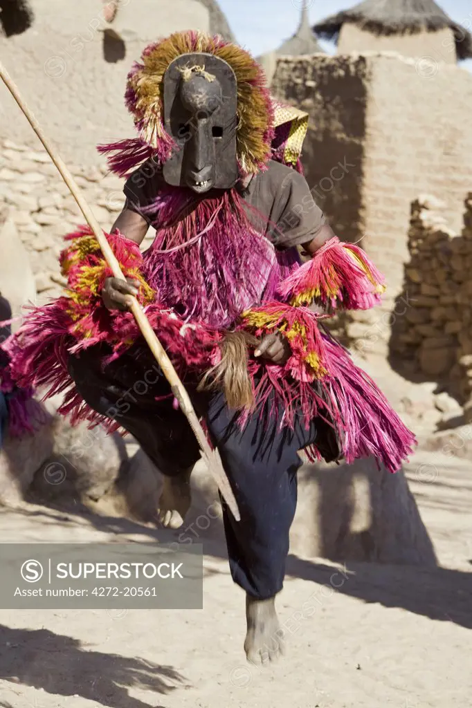 Mali, Dogon Country, Tereli.  A masked dancer leaps high in the air at the Dogon village of Tereli.