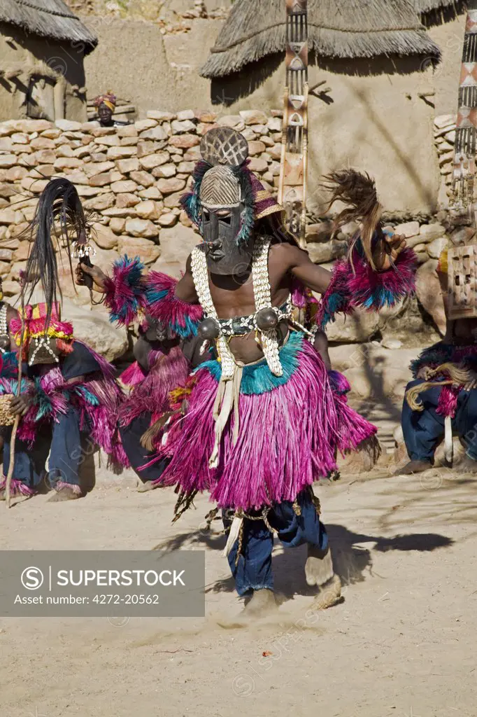 Mali, Dogon Country, Tereli. A masked dancer wearing coconut shells as breasts performs at the Dogon village of Tereli. Tereli is situated among rocks at the base of the spectacular 120-mile-long Bandiagara escarpment.