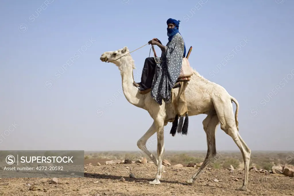 Mali, Timbuktu. A proud Tuareg rides his camel across semi-desert stony terrain near Timbuktu.
