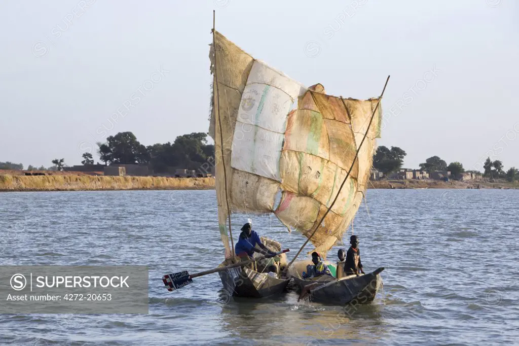 Mali, Niger Inland Delta. Two pirogues under one sail on the Niger River between Mopti and Timbuktu.