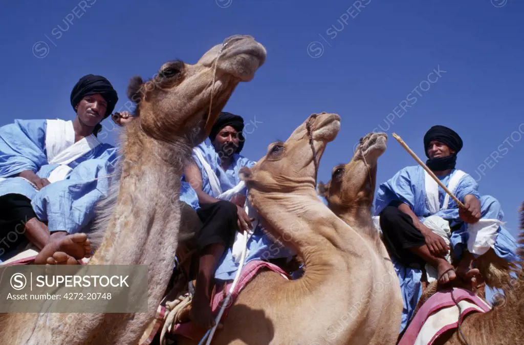 Meharistes', Soldiers Of The Desert, annual camel race. A Mehariste on his camel ready for the the start of the race.All the jockeys are in traditional costume especially for the occasion. Usually they would wear a uniform.