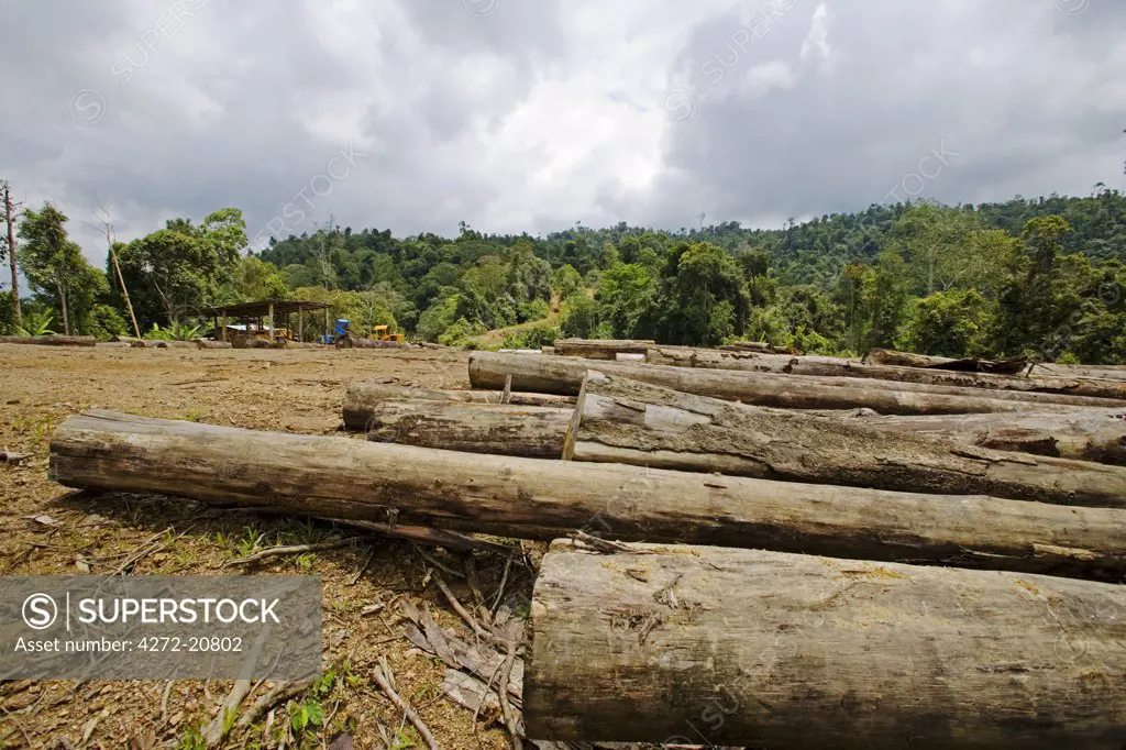Logging and deforistation of primary rainforest in the Crocker Range, Sabah, Borneo