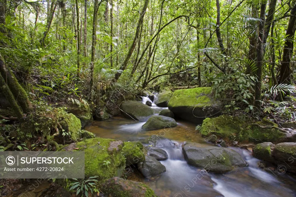 Rainforest and waterfall in biopark near the entrance to Mount Kinabalu National Park, Sabah, Borneo