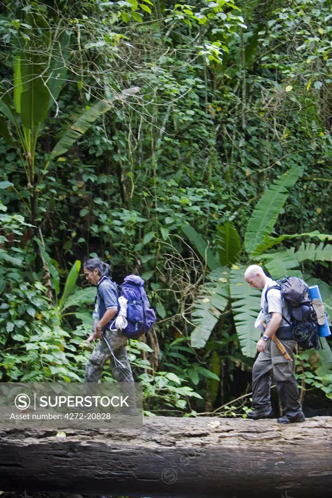 Trekking and Hiking in the rainforests of Borneo, a river crossing in the Crocker Range, Sabah