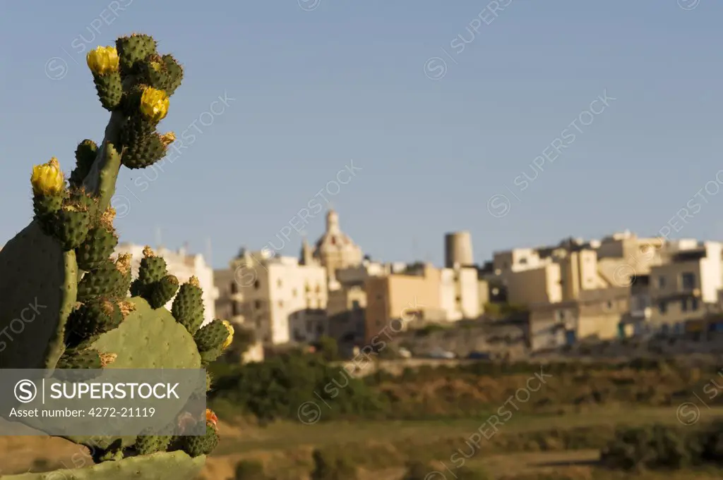Malta, Mdina.  View over the surrounding fields to the ancient walled city of Mdina.