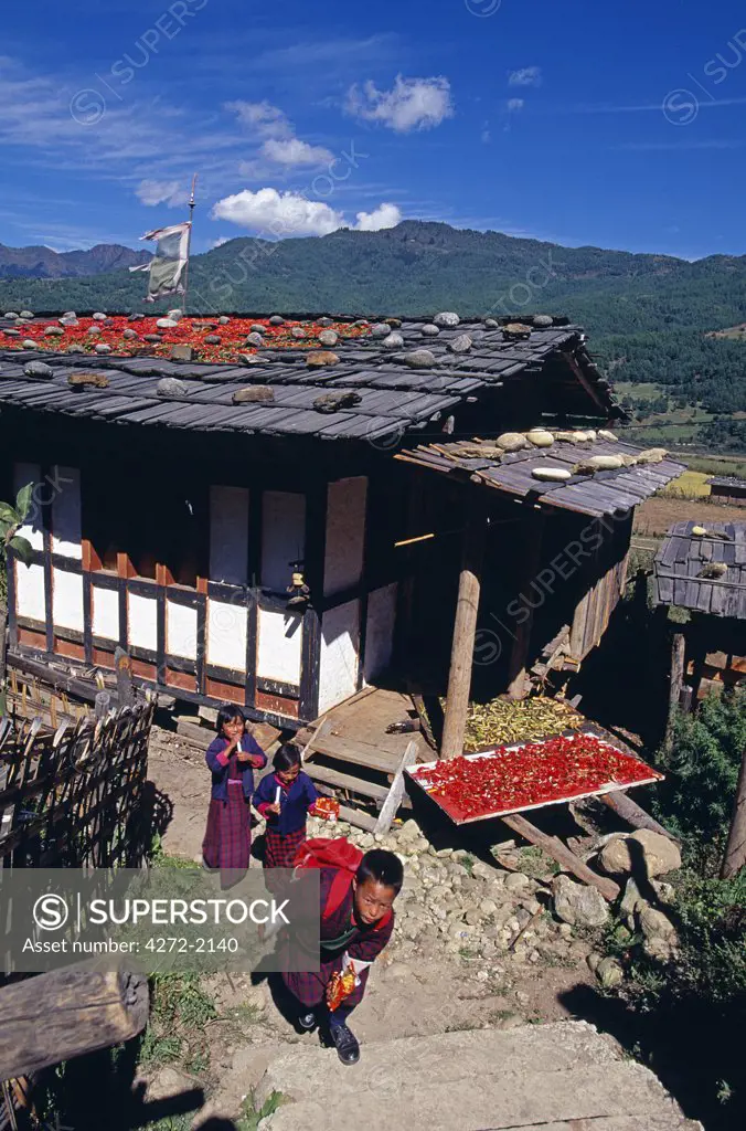 A local shopkeeper dries Red chillies on the roof of his house, one of the most common sights in Bhutan. Paro is Bhutans second largest town. The western end of the Paro valley is only 20 kms from the Tibetan border and for centuries it has been the first point of entry into Bhutan for Tibetans either invading armies or traders.
