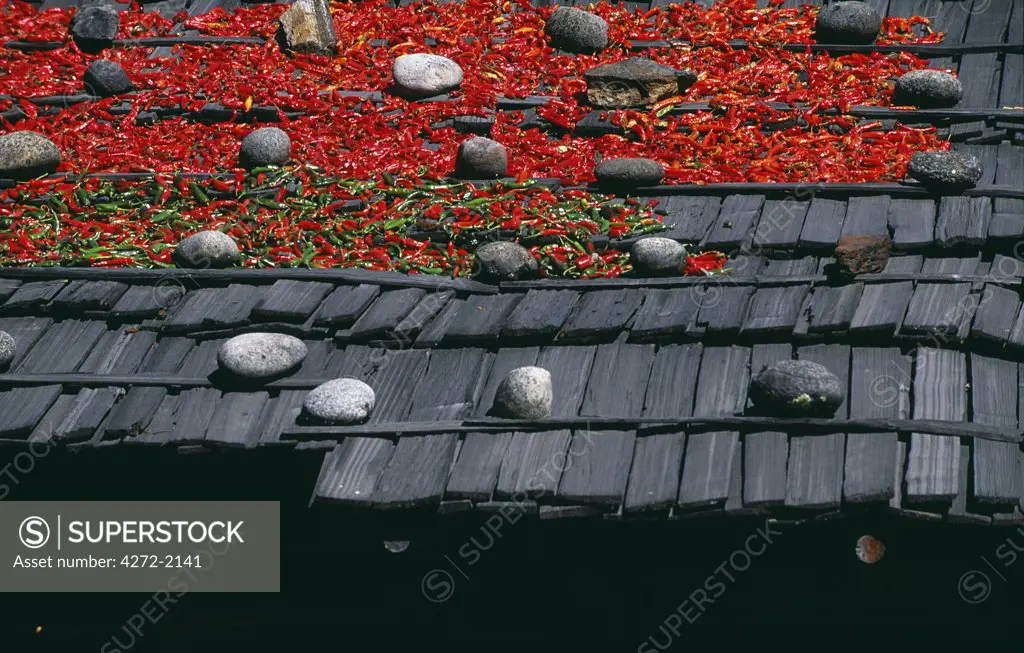 A local shopkeeper dries Red chillies on the roof of his house, one of the most common sights in Bhutan. Paro is Bhutans second largest town. The western end of the Paro valley is only 20 kms from the Tibetan border and for centuries it has been the first point of entry into Bhutan for Tibetans either invading armies or traders.