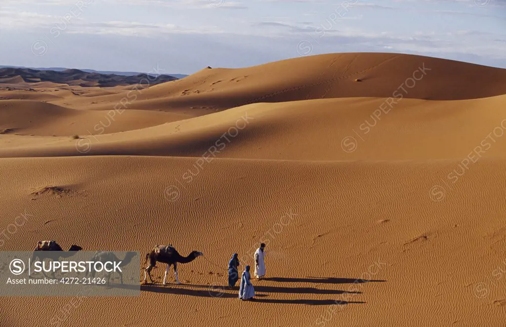 Berber tribesmen lead their camels through the sand dunes of the Erg Chegaga, in the Sahara region of Morocco. (MR)